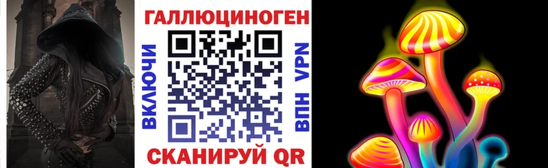 mega зеркало  Шилка  Псилоцибиновые грибы MAGIC MUSHROOMS  где купить наркоту 